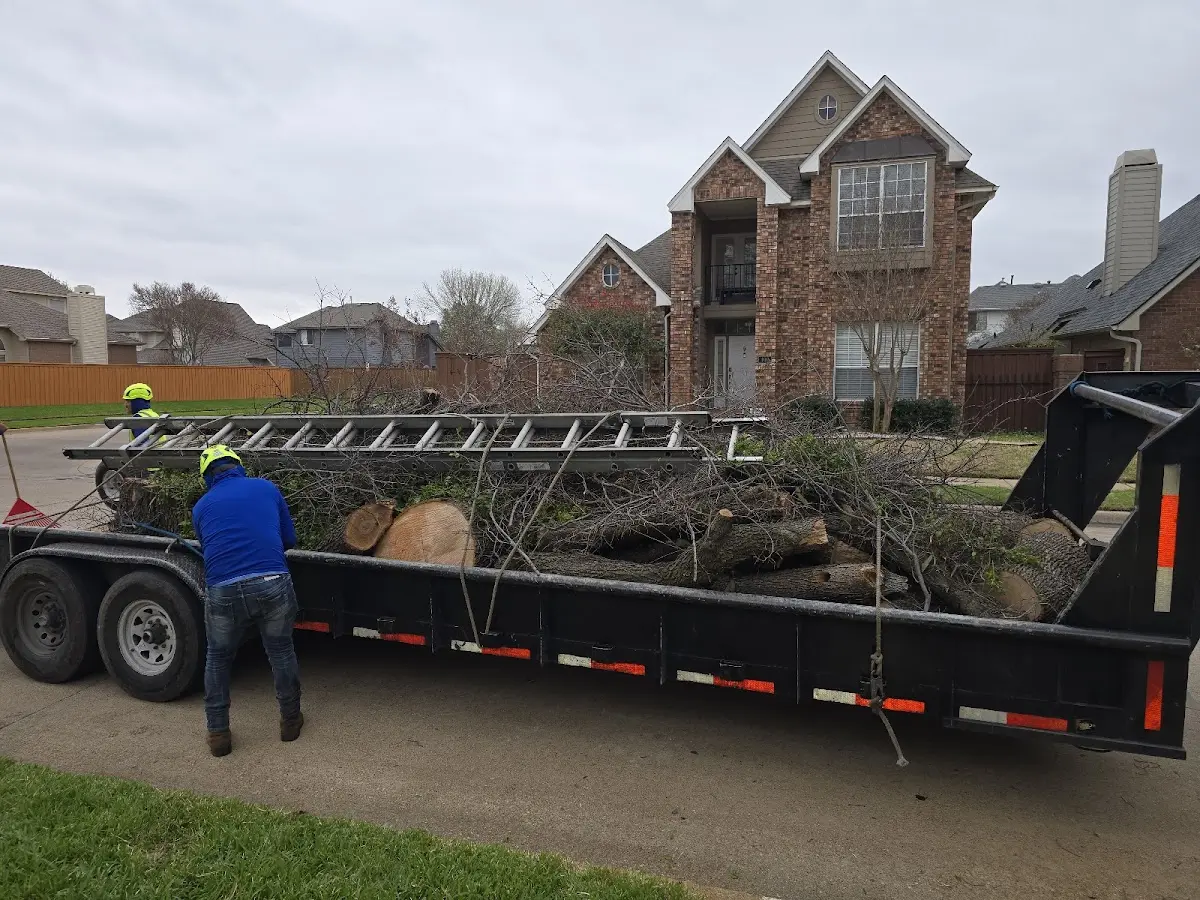 Expert Lot Clearing with proper safety equipment in Kinnear